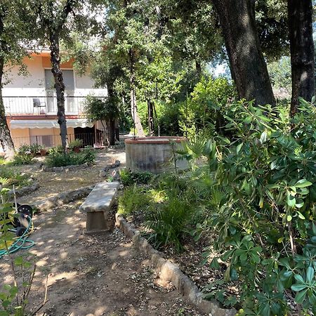 Giardino Sud - A Pochi Passi Dal Mare Apartment San Vincenzo Ngoại thất bức ảnh