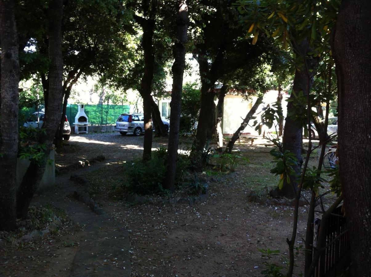 Giardino Sud - A Pochi Passi Dal Mare Apartment San Vincenzo Ngoại thất bức ảnh