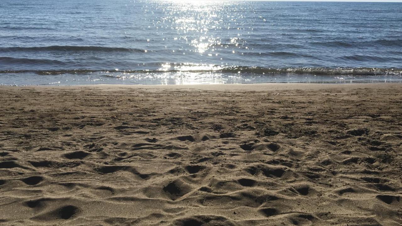 Giardino Sud - A Pochi Passi Dal Mare Apartment San Vincenzo Ngoại thất bức ảnh